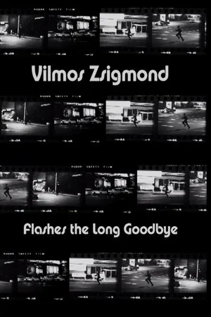 Постер: Vilmos Zsigmond Flashes 'The Long Goodbye'