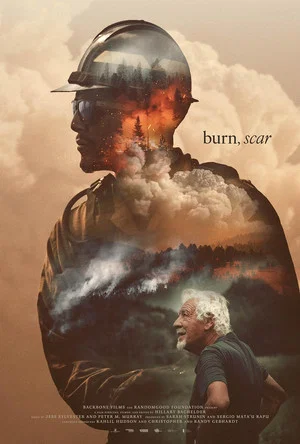Постер: burn, scar