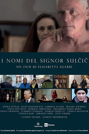 Постер: The Names of Mr. Sulcic