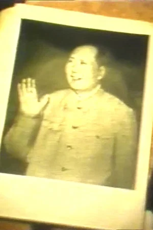 Постер: Mao-filmen