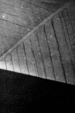 Постер: Light Shaft