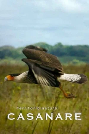 Постер: Territorio natural Casanare