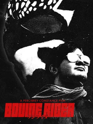 Постер: Bovine Rider