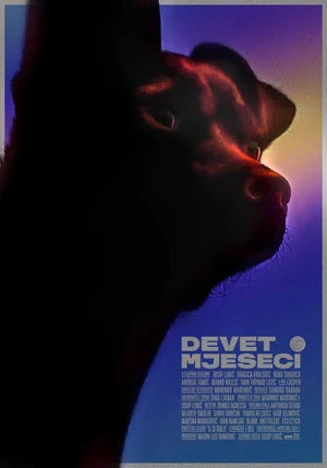 Постер: Nine Months