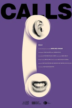 Постер: Calls