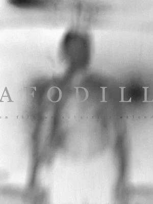 Постер: Afodill