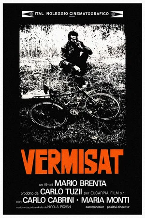 Постер: Vermisat