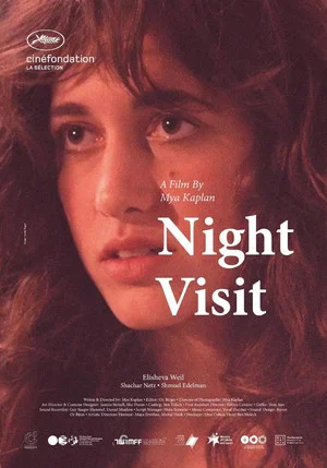 Постер: Night Visit