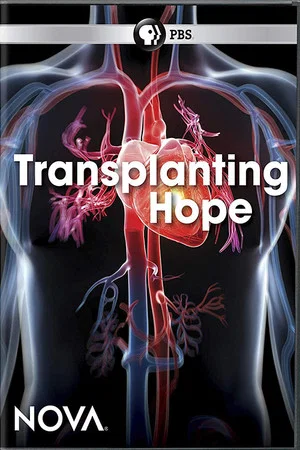 Постер: Transplanting Hope