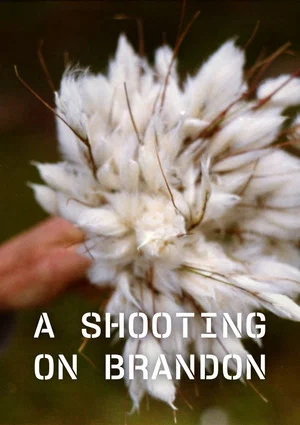 Постер: A Shooting on Brandon