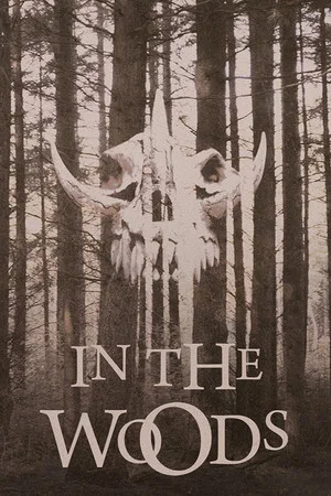 Постер: In the Woods