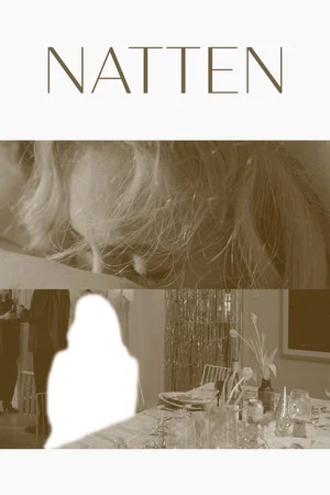 Постер: The Night