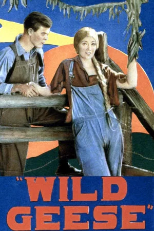 Постер: Wild Geese