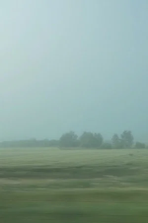 Постер: Missing