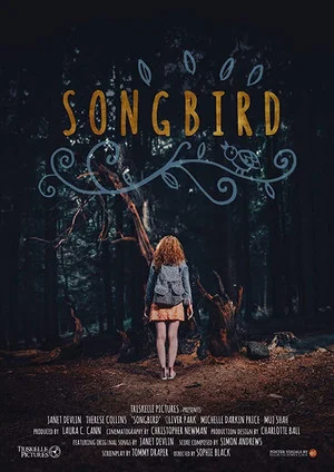 Постер: Songbird