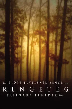 Постер: Forest