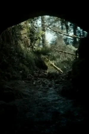Постер: The Beast