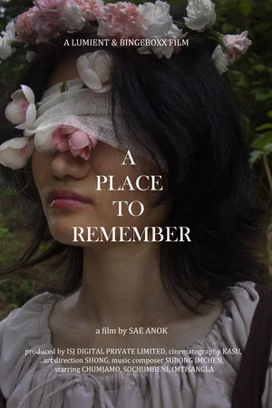 Постер: A place to remember