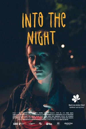 Постер: Into the Night