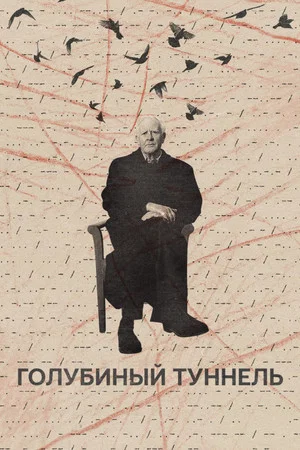 Постер: Голубиный туннель