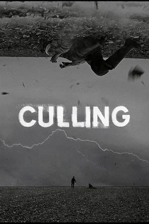 Постер: Culling