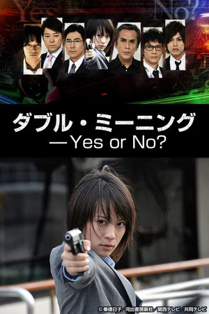 Постер: Double Meaning: Yes or No?