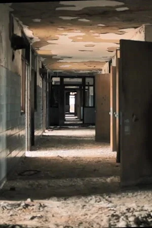 Постер: Asymptomatic Carrier