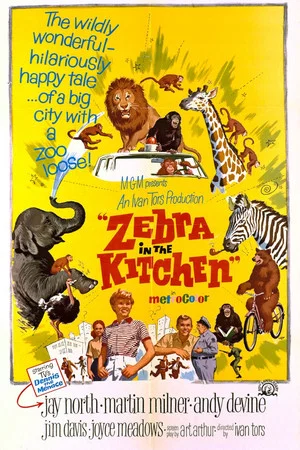 Постер: Zebra in the Kitchen