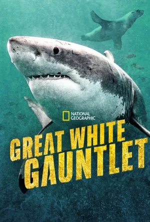 Постер: Great White Gauntlet