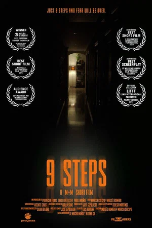 Постер: 9 Steps