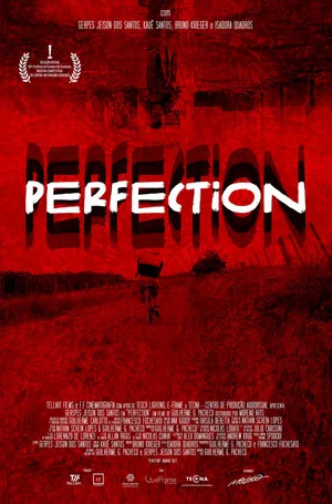 Постер: Perfection