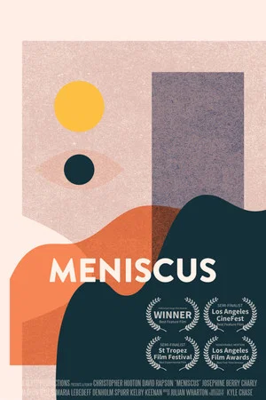 Постер: Meniscus
