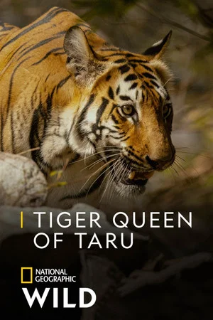 Постер: Tiger Queen of Taru