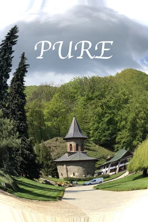 Постер: Pure