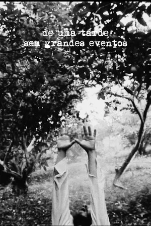 Постер: De Uma Tarde Sem Grandes Eventos