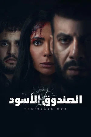 Постер: The Black Box