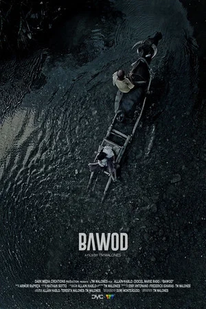Постер: Bawod