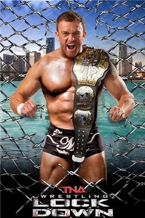 Постер: TNA Lockdown 2014
