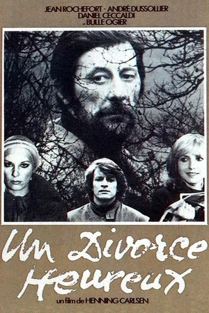 Постер: A Happy Divorce