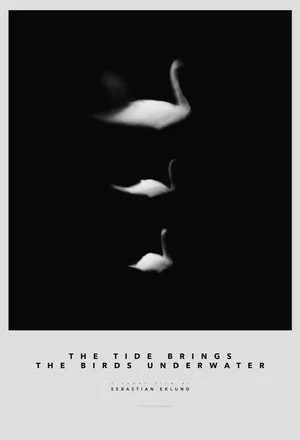 Постер: The Tide Brings the Birds Underwater