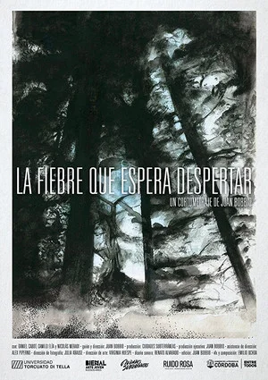 Постер: La fiebre que espera despertar