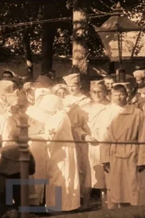 Постер: Gramberg's Military Hospital