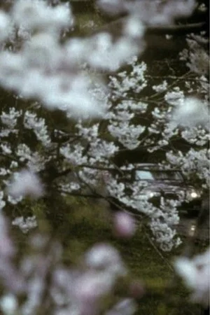 Постер: Winter