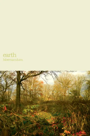 Постер: Earth: Within the Drone