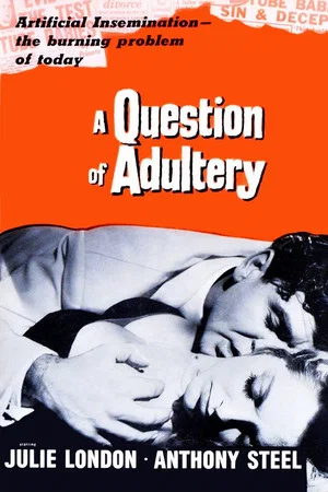 Постер: A Question of Adultery