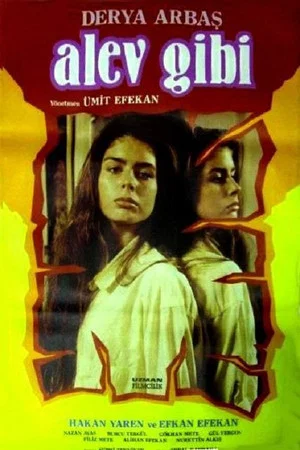 Постер: Alev Gibi