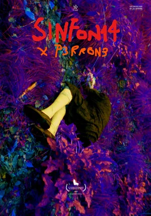 Постер: SINFON14