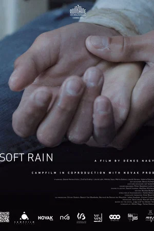 Постер: Soft Rain