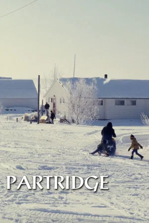 Постер: Partridge