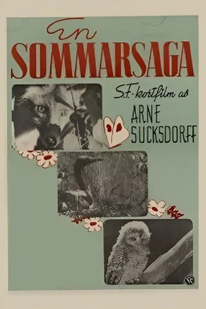 Постер: En sommarsaga